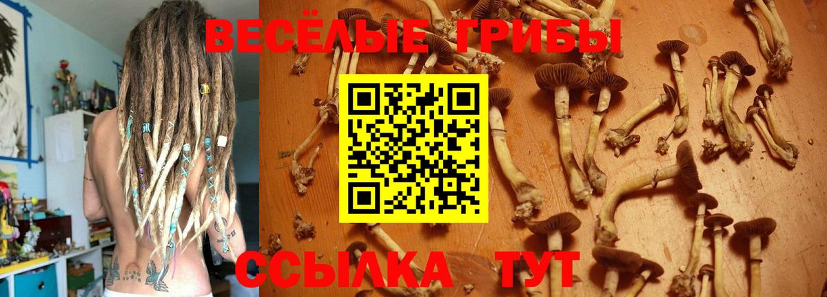 Кудымкар  Галлюциногенные грибы GOLDEN TEACHER  купить  сайты  Вход с VPN 